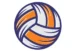 un ballon de volley-ball