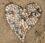 A heart made of seashells on sandy Dutch beach, symbolizes love.